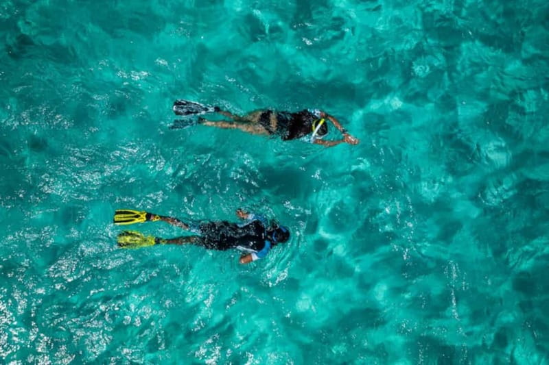 Madeira: Ponta de São Lourenço Snorkeling Boat Trip - What you see beneath the surface