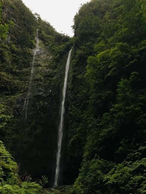 Madeira: PR 9 - Levada do Caldeirão Verde Hike Transfer - Reaching Caldeirão Verde