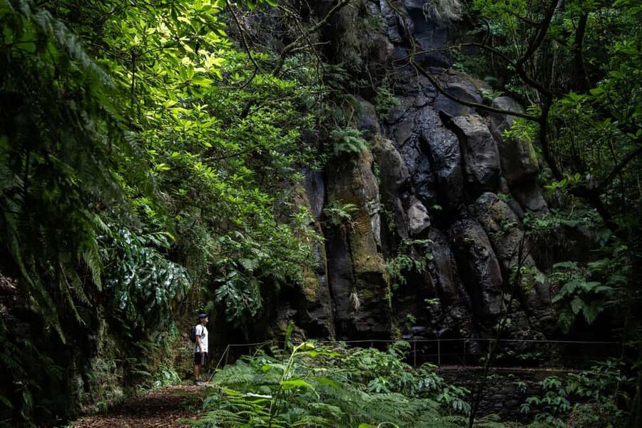 Madeira: PR 9 - Levada do Caldeirão Verde Hike Transfer - Pickup from Funchal, Caniço, and beyond