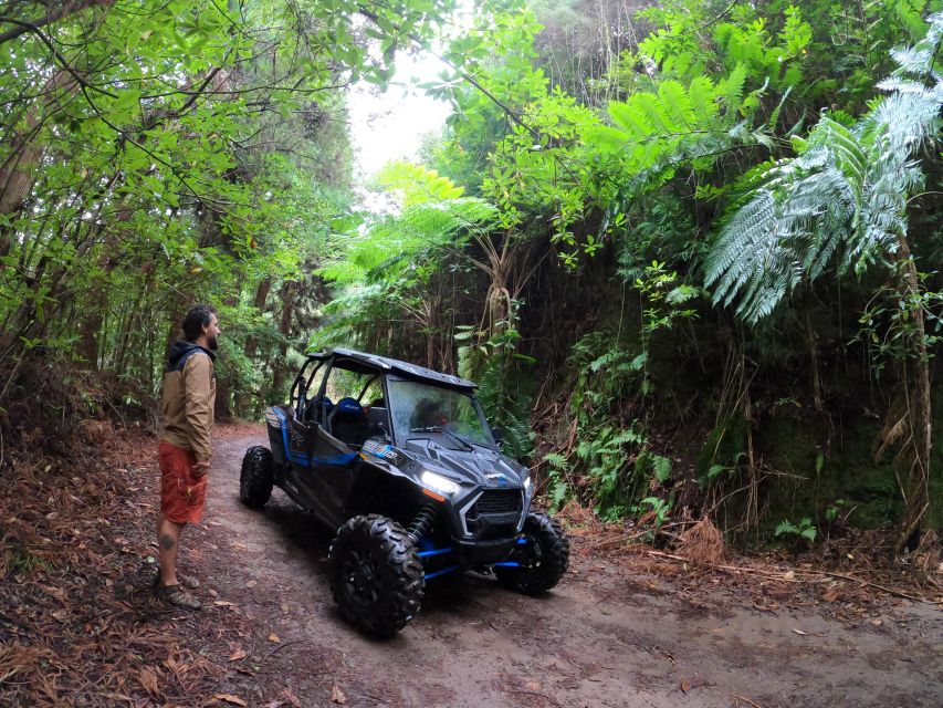 Madeira Private Buggy Adventure: Mountains and Forests - What the $212 price really means