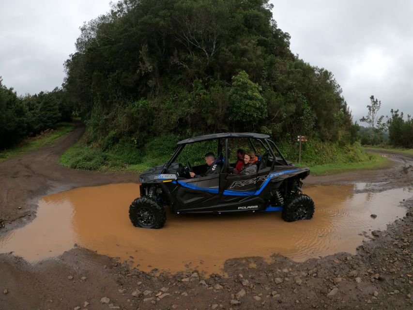 Madeira Private Buggy Adventure: Mountains and Forests - Who will enjoy this most?