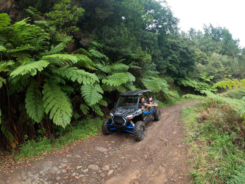 Madeira Private Buggy Adventure: Mountains and Forests - Should you book the Mountains and Forests buggy adventure?