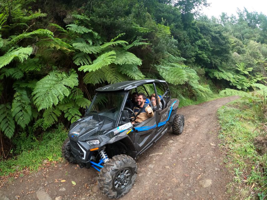 Madeira Private Buggy Adventure: Mountains and Forests - Pico Alto and Poiso: the ride climbs quickly