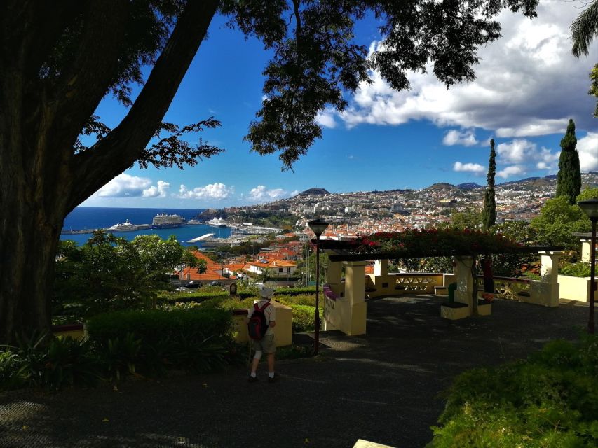Madeira: Private Funchal City Tour in a Tukxi - From Funchal pickup to the upper city