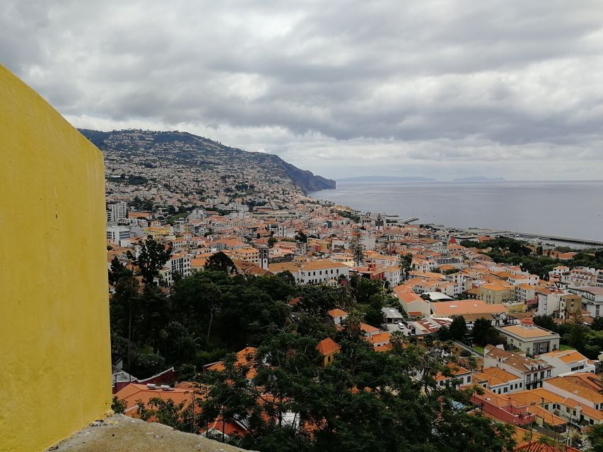 Madeira: Private Funchal City Tour in a Tukxi - Mercado dos Lavradores and the taste of daily Funchal