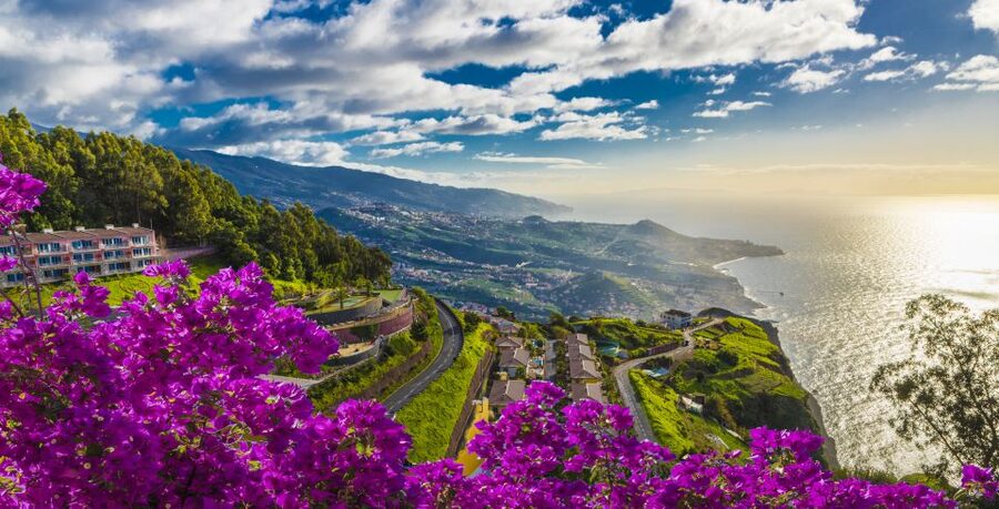 Madeira: Private Guided Cabo Girão Tour - Câmara de Lobos and the island’s fishing culture