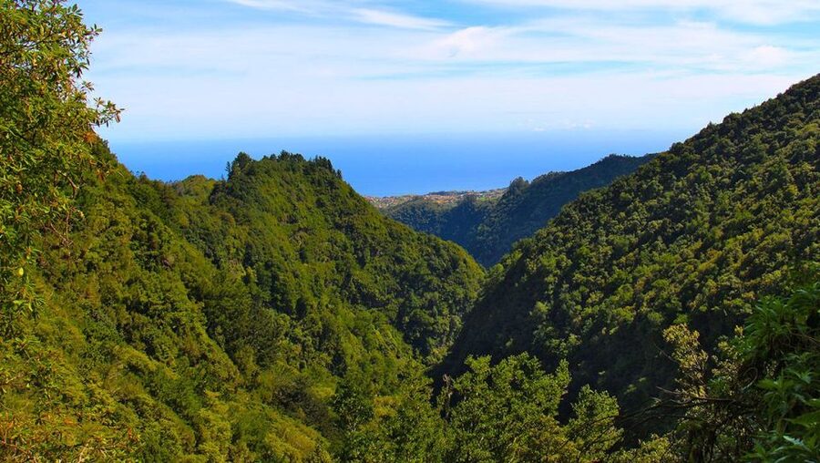 Madeira: Queimadas, Caldeirão Verde and Levada Walk - Why the Caldeirão Verde walk is worth your day