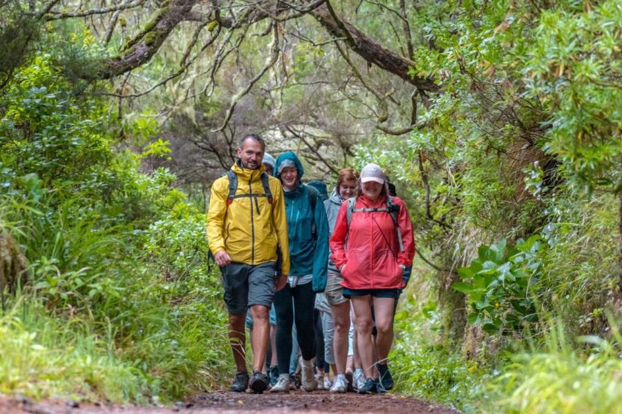 Madeira: Rabaçal 25 Fountains Levada Walk & Cabo Girão - What the forest walk feels like in practice