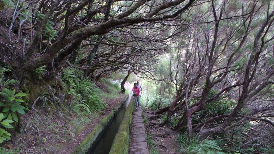 Madeira: Rabaçal 25 Fountains Levada Walk & Cabo Girão - Cabo Girão and the glass platform