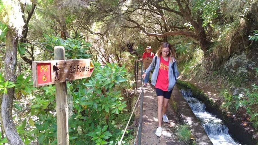 Madeira: Rabaçal, Risco and 25 Fontes Guided Hiking Tour - Key points at a glance