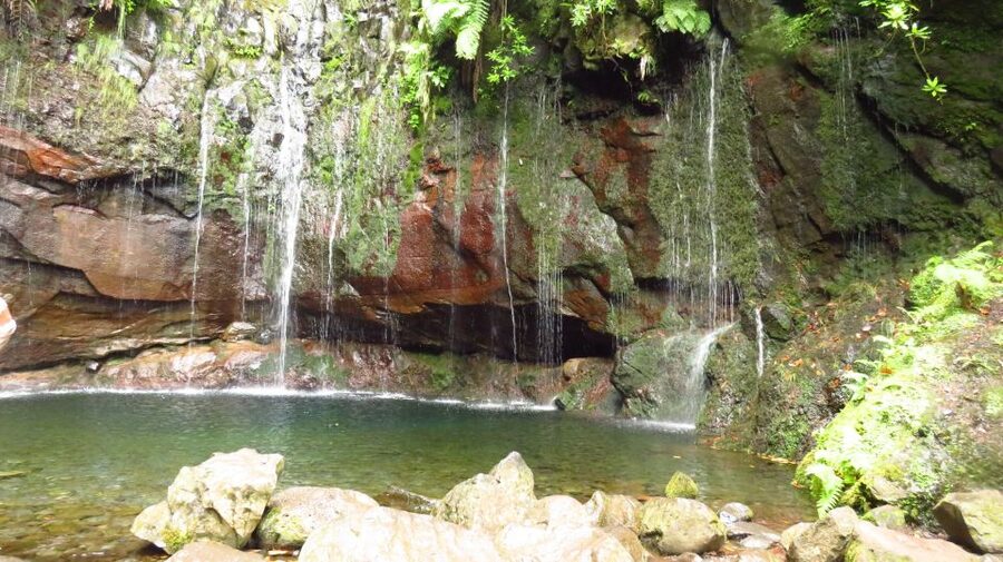 Madeira: Rabaçal, Risco and 25 Fontes Guided Hiking Tour - Why this Rabaçal walk is worth your day