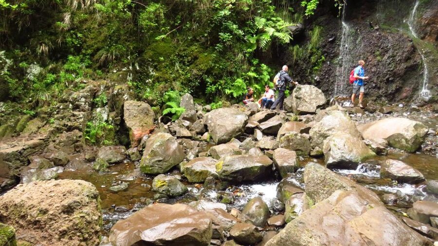Madeira: Rabaçal, Risco and 25 Fontes Guided Hiking Tour - The return drive and café stop