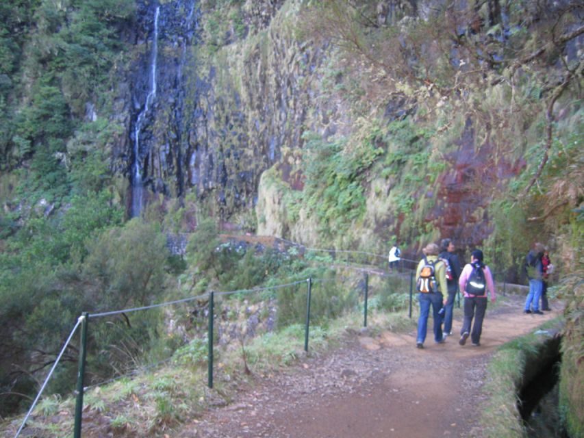 Madeira: Rabaçal, Risco and 25 Fontes Guided Hiking Tour - Who should book this hike?