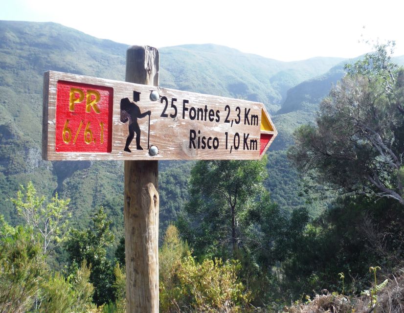 Madeira: Rabaçal, Risco and 25 Fontes Guided Hiking Tour - From Funchal or Caniço to the high plateau
