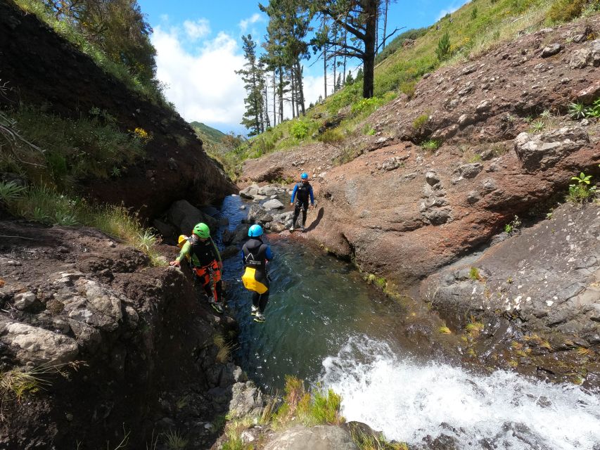 Madeira : Ribeira das Cales Canyoning (Level 1) - Practical limits and who should skip it