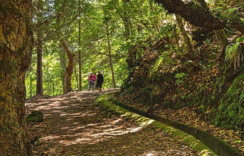 Madeira: Santana Jeep Safari and Balções Levada Walk - Cova da Roda and the short off-road ride