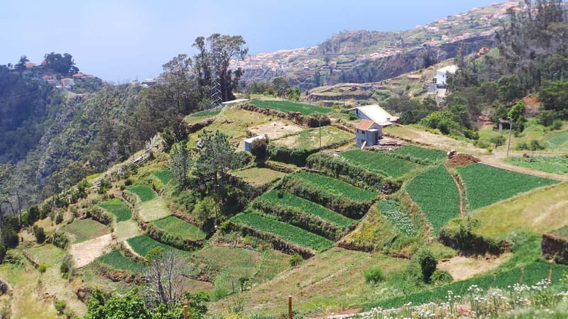 Madeira: Santana Jeep Safari and Balções Levada Walk - Two hours in Santana, including lunch time