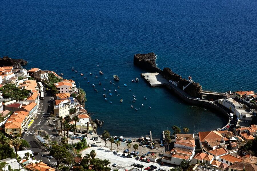 Madeira: Signature Wine Tasting, Skywalk & Nature Expedition - The Mel da Laurissilva honey museum