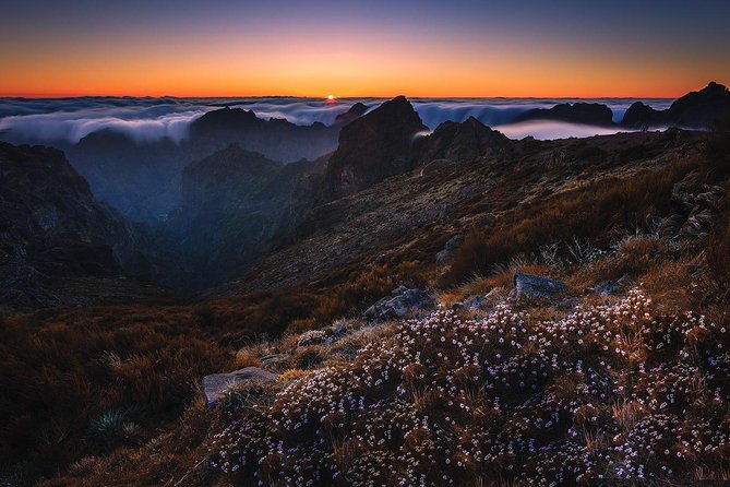 Madeira Top Sunrise - What the six-person size changes