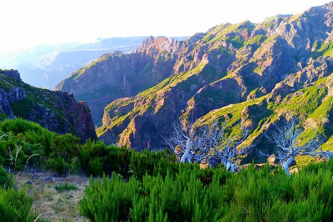 Madeira Top Sunrise - Walking through the dark to Pico Ruivo