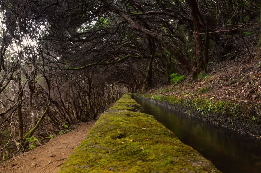 Madeira Walks - Rabaçal and the 25 Fountains - Why Rabaçal Is Worth Your Walking Shoes