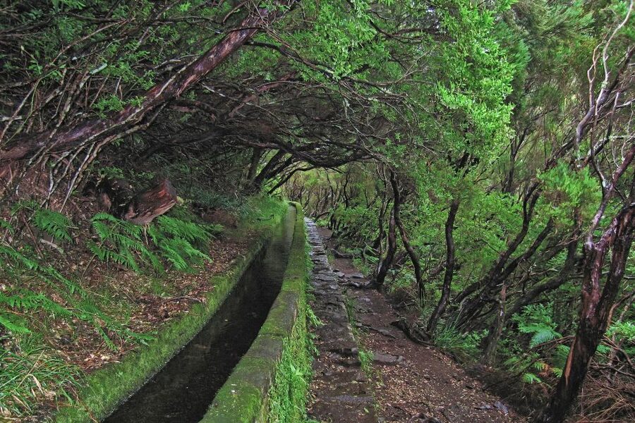 Madeira Walks - Rabaçal and the 25 Fountains - Practical Packing List for the Trail