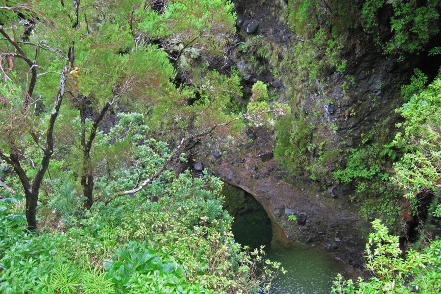 Madeira Walks - Rabaçal and the 25 Fountains - The 800-Meter Tunnel