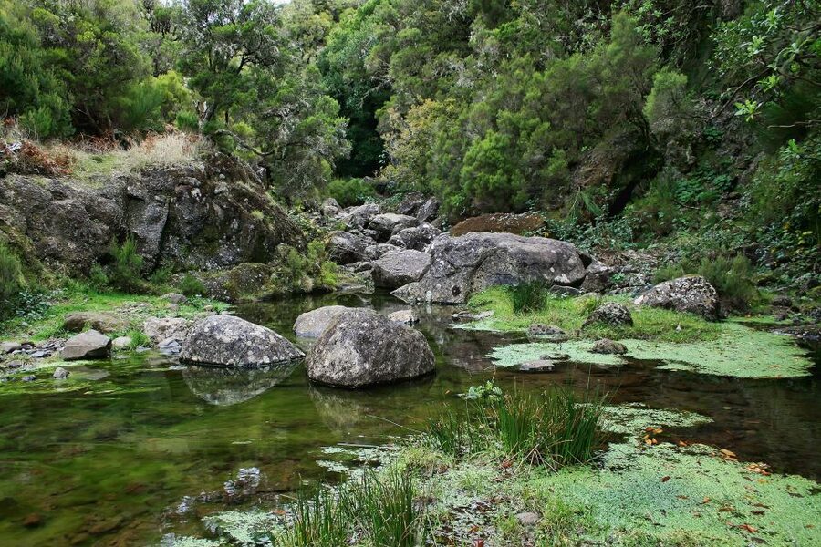 Madeira Walks - Rabaçal and the 25 Fountains - What the Guides Add to the Day