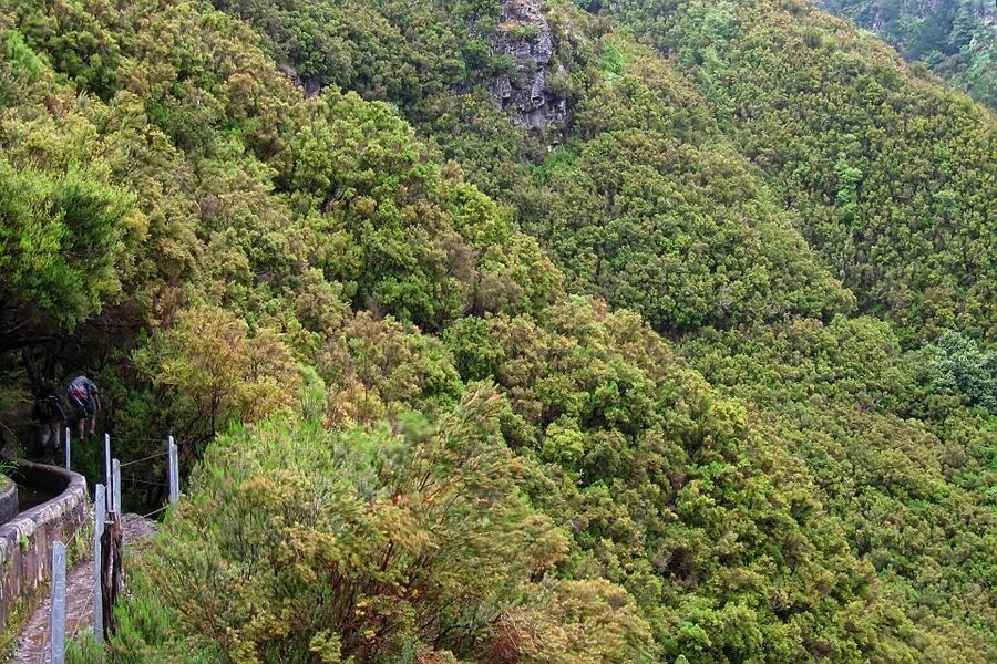 Madeira Walks - Rabaçal and the 25 Fountains - Transport, Lunch, and the Real Value of $50