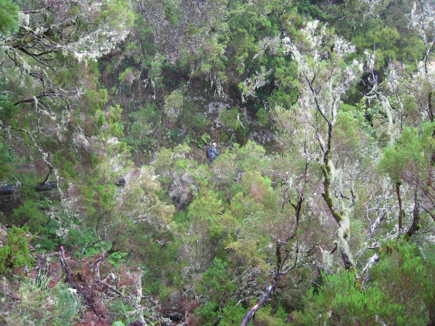 Madeira Walks - Rabaçal and the 25 Fountains - Who Should Book This Walk