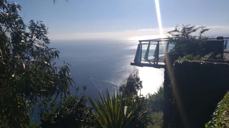 Madeira West Island Full-Day Tour with Fanal Forest - Fanal Forest: short walk, unusual trees