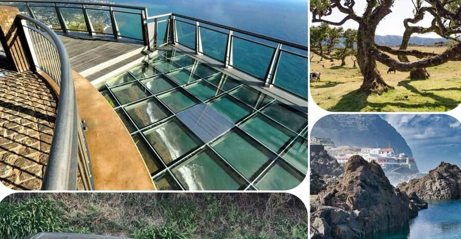 Madeira: West Tour With Guide Fanal Forest SykWalkExperience - Why this west Madeira route works so well