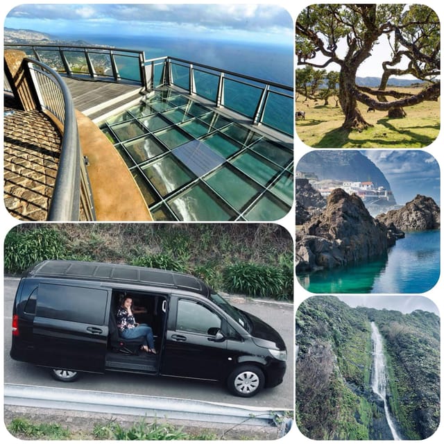 Madeira: West Tour With Guide Fanal Forest SykWalkExperience - Fanal Forest, old trees, and a sharp change in weather