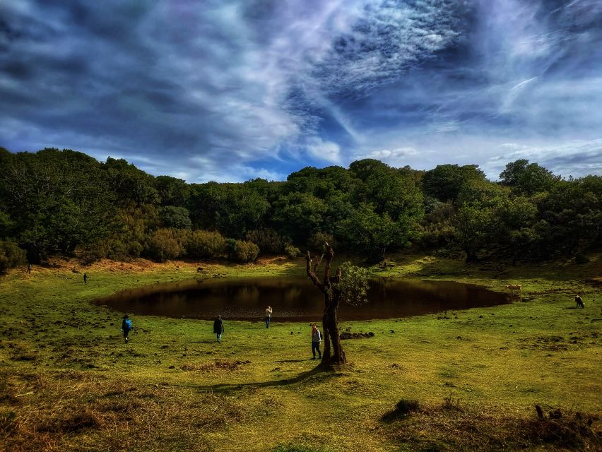Madeira: Western Madeira Guided Trip & Fanal Mystic Forest - Who should book this tour