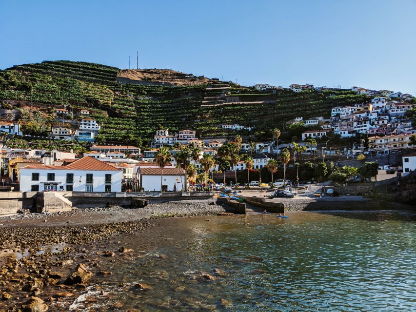 Madeira: Western Madeira Guided Trip & Fanal Mystic Forest - Seixal and the black-rock coast