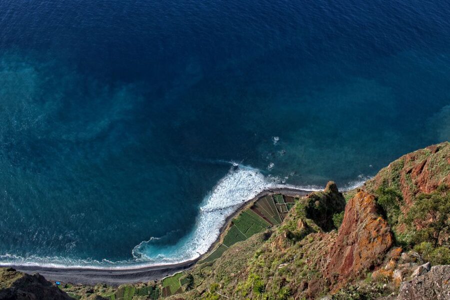 Madeira: Western Madeira Guided Trip & Fanal Mystic Forest - Guides, transport, and the pace of the day
