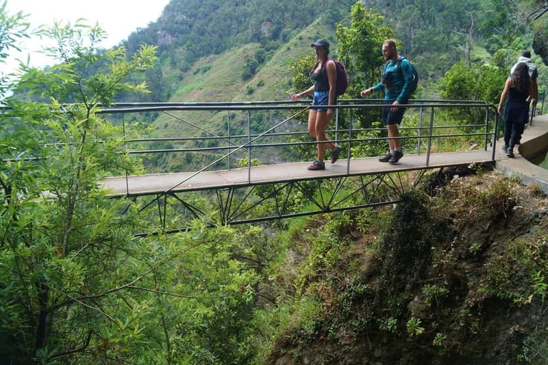 Madeira: Wet your hair in the amazing Levada Nova / Moinhos - A Madeira walk built around freedom