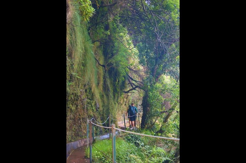 Madeira: Wet your hair in the amazing Levada Nova / Moinhos - The waterfall moment
