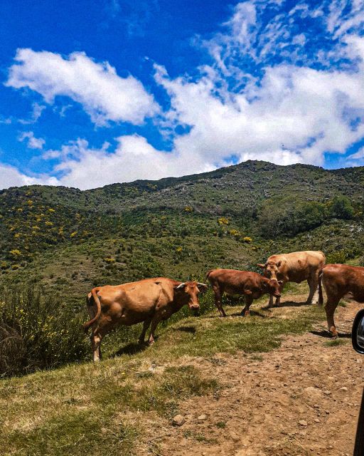 Madeira Wild West 4X4 Tour Safari - Seixal is beautiful, but the stop can feel short