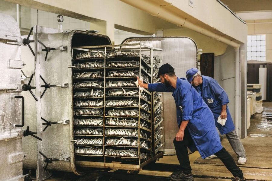 Matosinhos: Conservas Pinhais Factory Tour - Key points to know before you go