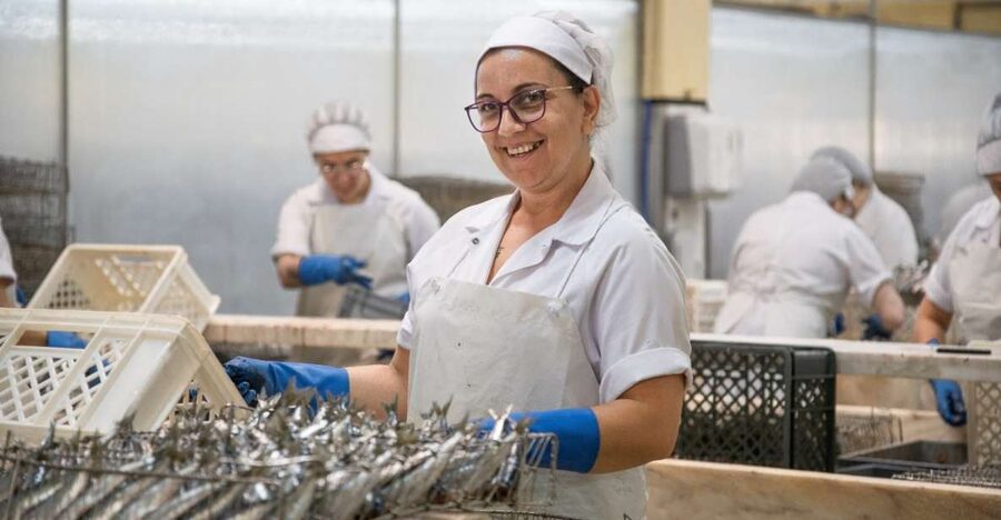 Matosinhos: Conservas Pinhais Factory Tour - Why this Matosinhos cannery is worth your time