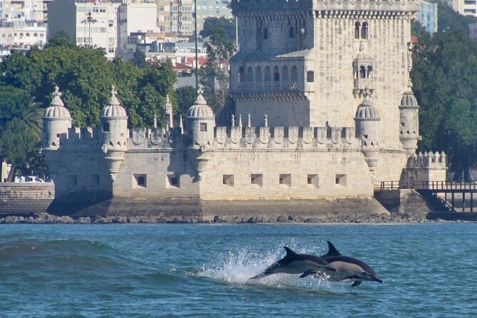 Meet the Lisbon Dolphins - Dolphin Watching in Lisbon - Is $78.61 a fair price?
