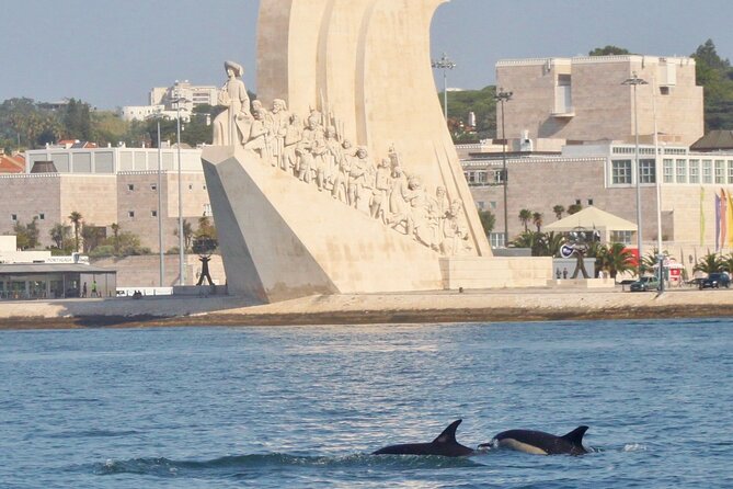 Meet the Lisbon Dolphins - Dolphin Watching in Lisbon - What you might see beyond dolphins