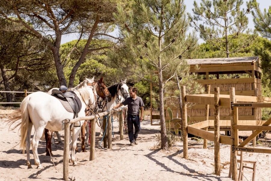 Melides: Horse Riding on the Beach with Wine Tasting - Key points to know before you book