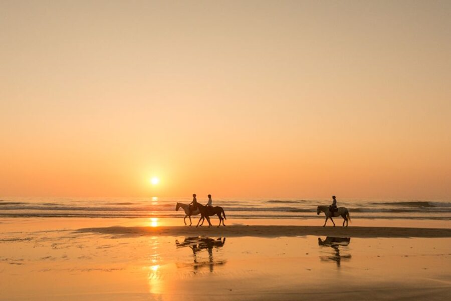 Melides: Horse Riding on the Beach with Wine Tasting - A coastal ride far beyond the usual beach loop