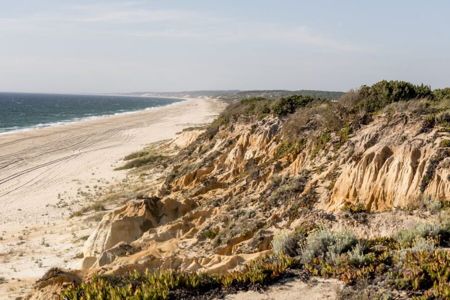 Melides: Horse Riding on the Beach with Wine Tasting - Calm horses make this suitable for beginners