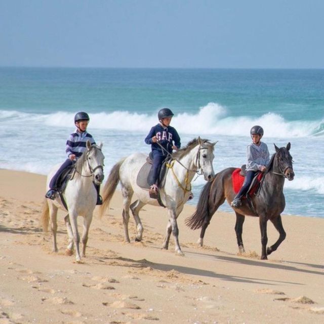 Melides: Horseback Riding on Melides Beach - FAQ