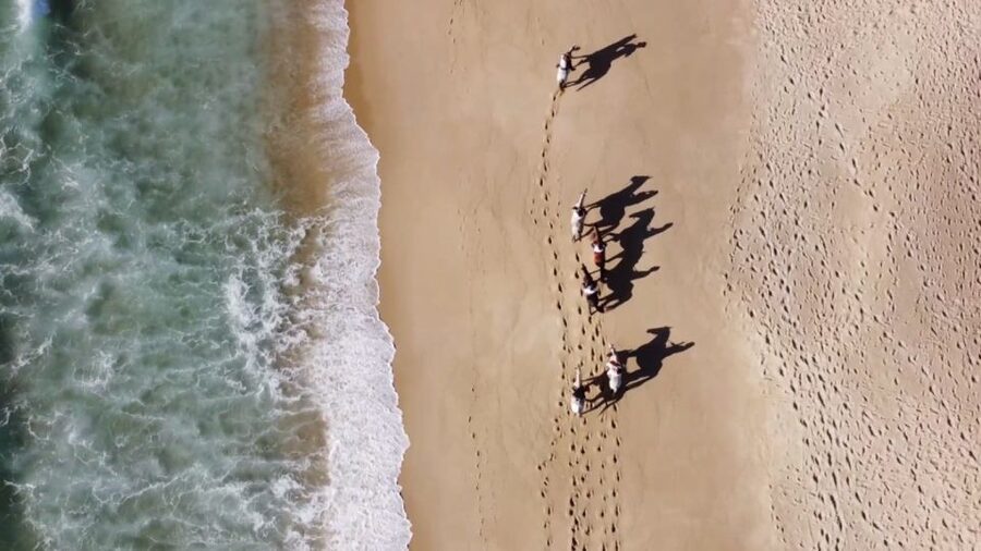 Melides: Horseback Riding on Melides Beach - Why the horses make this a good beginner outing