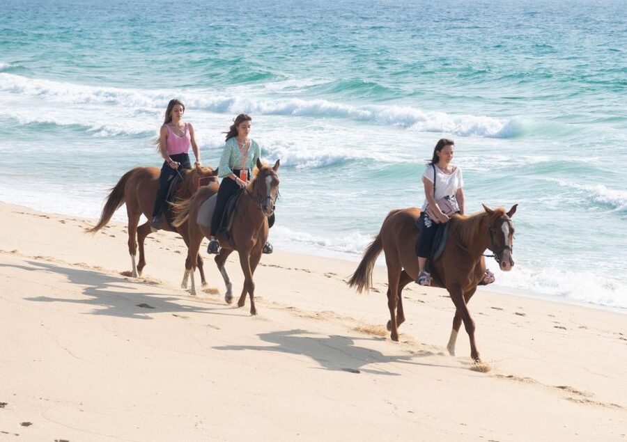 Melides: Horseback Riding on Melides Beach - Who will enjoy this ride most