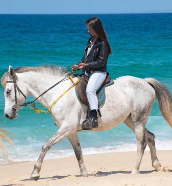 Melides: Horseback Riding on Melides Beach - Should you book the Melides beach ride?